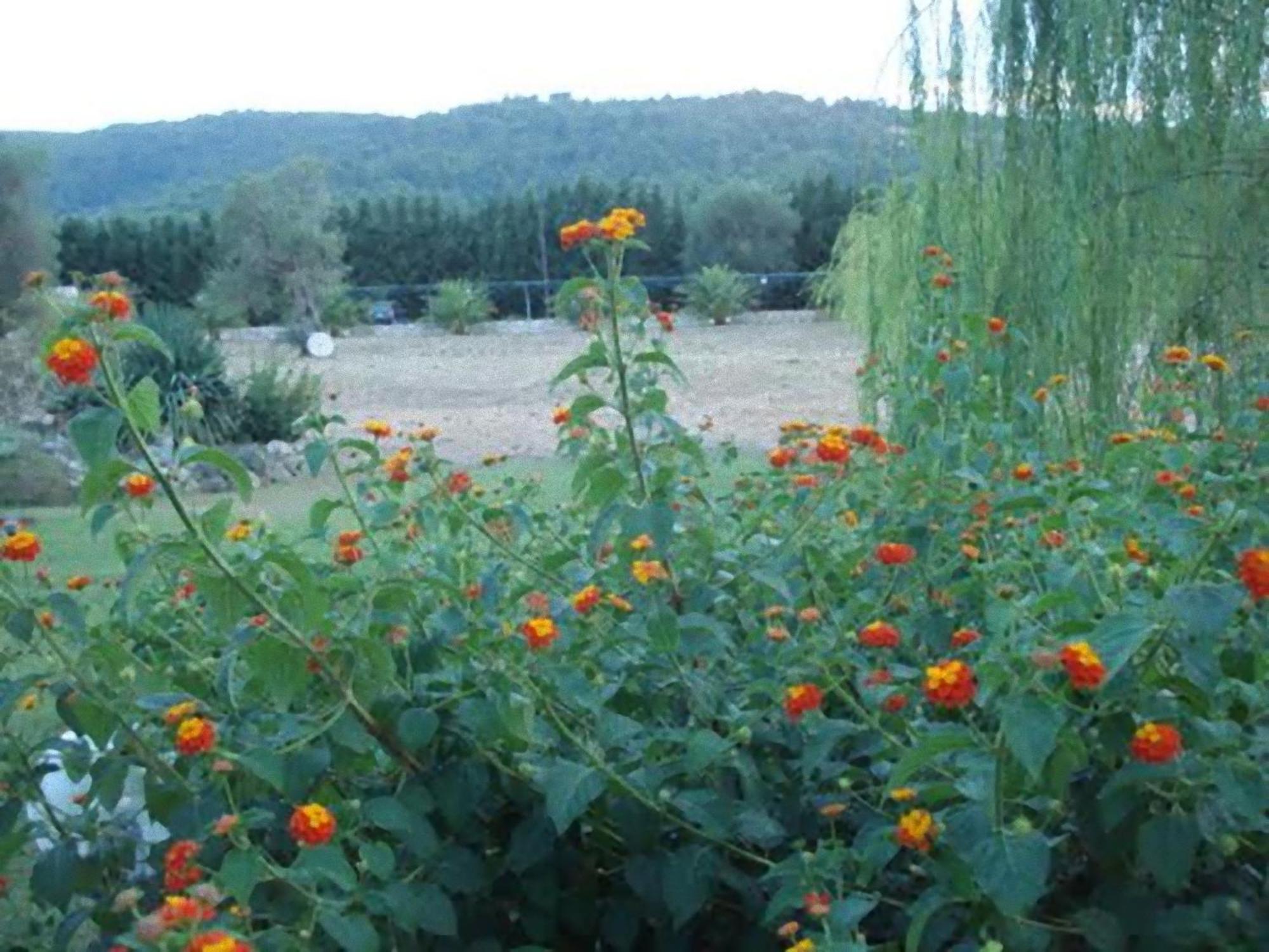 La Piana Di Calena Villa Peschici Dış mekan fotoğraf