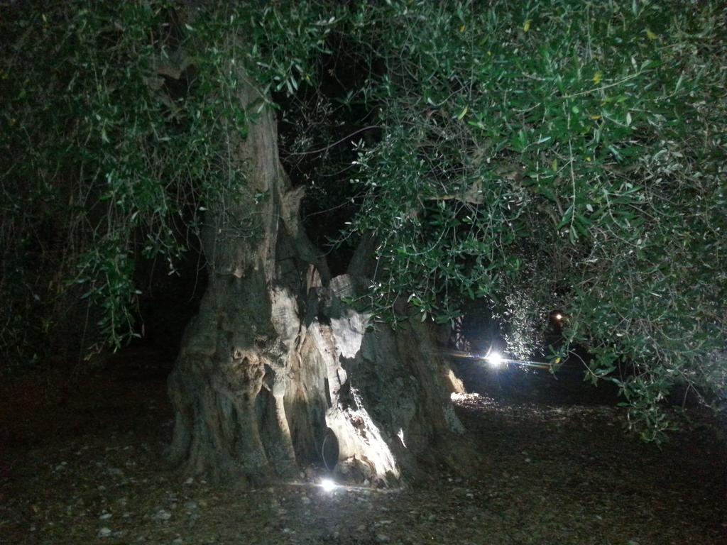 La Piana Di Calena Villa Peschici Dış mekan fotoğraf
