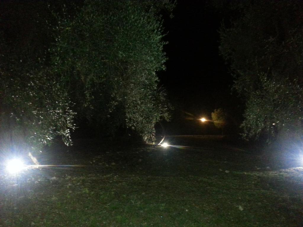 La Piana Di Calena Villa Peschici Dış mekan fotoğraf
