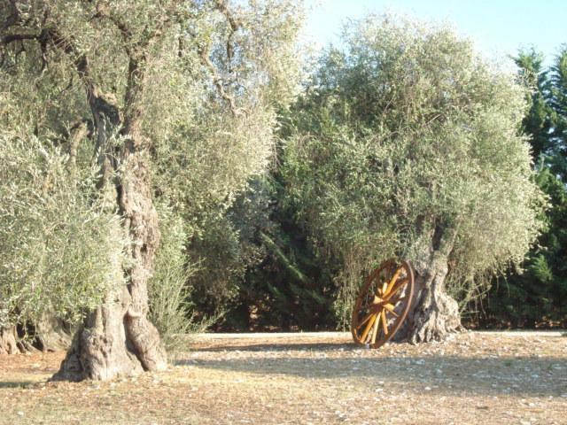 La Piana Di Calena Villa Peschici Oda fotoğraf